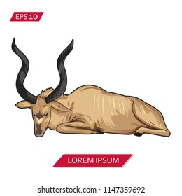 kudu vector icon symbol