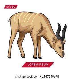 kudu vector icon symbol