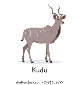 Kudu vector illustration, cartoon clipart character, animal in flat style. Wild animals, wild creatures, wildlife concept. Lesser kudu or greater kudu vector design isolated on white background