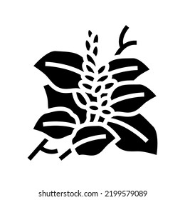 kudzu plant glyph icon vector. kudzu plant sign. isolated symbol illustration