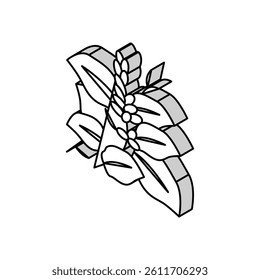 kudzu plant isometric icon vector. kudzu plant sign. isolated symbol illustration