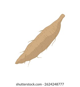 Kudzu root vegetable flat design cartoon icon illustration