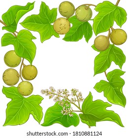 kukui vector frame on white background