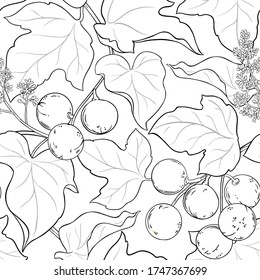 kukui vector pattern on white background