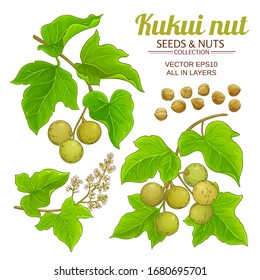 kukui vector set on white background