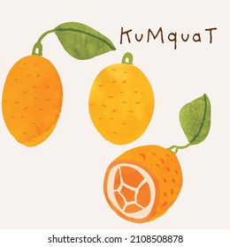 Kumquat citrus fruit watercolor illustration set. Painterly watercolor texture and ink drawing elements. Hand drawn and hand painted