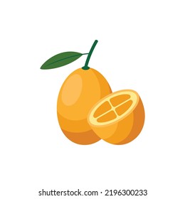 Kumquat Fruit Flat Design Vector Illustration Isolated on a White Background.