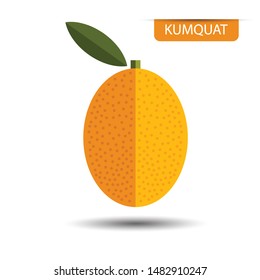 Kumquat, fruit on white background. Flat design style. vector illustration.