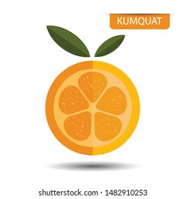 Kumquat, fruit on white background. Flat design style. vector illustration.