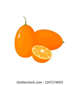 kumquat isolated on white background. Bright vector illustration of colorful half and whole of juicy kumquat. Fresh cartoon