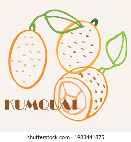 Kumquat line art hand-drawn multicolor modern vector illustration. Colorful line art exotic fruit design.
