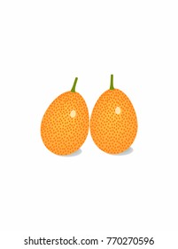Kumquat  on white background