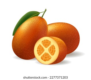 Kumquat realistic. Citrus fortunella japonica whole with green leaf and half orange fruits, vector cumquats isolated on white background