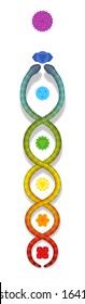 Kundalini serpent ascending along the seven main chakras. Symbol for spiritual power and balance, awakening, harmony and relaxation. Vector illustration on white.
