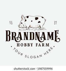 Kune kune pig farm Logo design