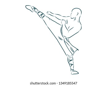 Kung fu fighter contour, vector illustration