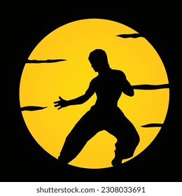 Kung fu, Karate , designed on sunset or sunrise background graphic vector.