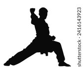 kung fu karate fighter pose silhouette illustration