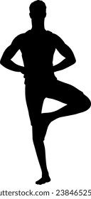 kung Fu karate player silhouette