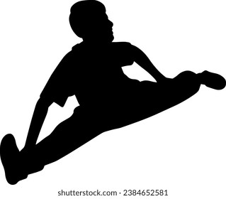 kung Fu karate player silhouette illustration