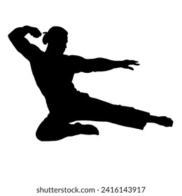 kung fu martial arts fighter jump kick silhouette illustration