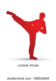 Kung fu pose, man kicking,silhouette graphic vector.