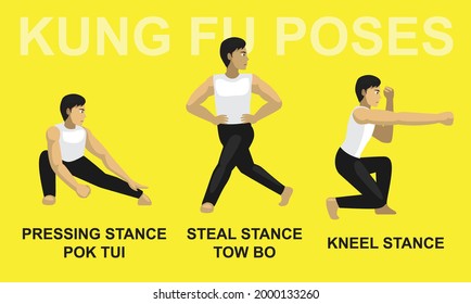 Kung Fu Poses Pressing Stance Pok Tui Steal Stance Tow Bo Kneel Cartoon Vector Illustration