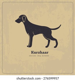 Kurzhaar  dog  standing in profile stylized silhouette on shabby vintage background. All objects are conveniently grouped on different layers.