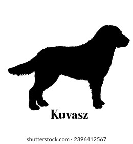 Kuvasz Dog silhouette dog breeds logo monogram face vector