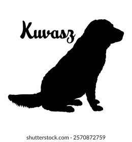 Kuvasz. dog silhouette, dog breeds, logo, vector, silhouette,  animal, illustration, icon, sign, design, black, symbol, pet, love
