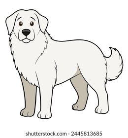 Kuvasz dog vector illustration isolated on white background in cartoon style.