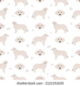 Kuvasz seamless pattern. Different poses, coat colors set.  Vector illustration