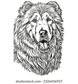 Kuvaszok dog silhouette pet character, clip art vector pets drawing black and white