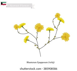 Kuwait Flower, Illustration of Yellow Rhanterum Epapposum or Arfaj. One of The Most Popular Flower in Kuwait.