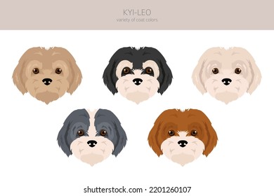 Kyi-Leo dog clipart. Different coat colors set.  Vector illustration