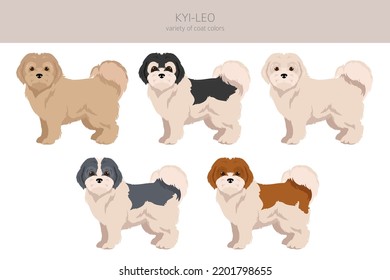 Kyi-Leo dog clipart. Different coat colors set.  Vector illustration