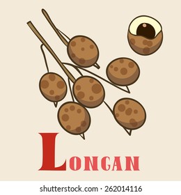 L for longan. Vector Illustration, hand-drawn style.