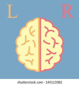 L & R Brain