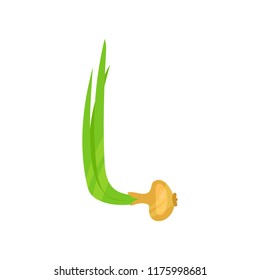 L veggie vegetable English alphabet letter made from onion vector Illustration on a white background