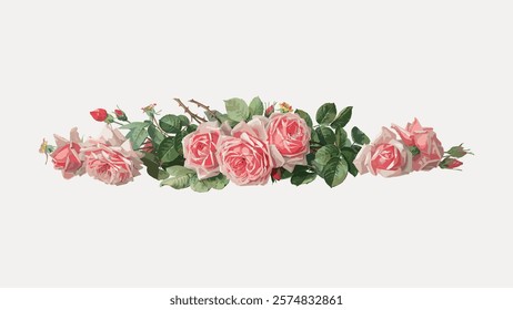 La France roses vintage flower illustration by Paul de Longpre, vintage vector element. Pink botanical flower floral vintage illustration. Pink flower art drawing illustration, vector artwork.