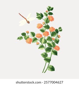 La Harman by Pierre Joseph Buc'Hoz illustration isolated on white, vector. Vintage beautiful flower illustration, hand drawn floral vector isolated on white background.