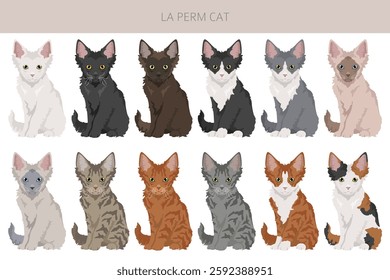 La Perm Cat clipart. All coat colors set.  All cat breeds characteristics infographic. Vector illustration