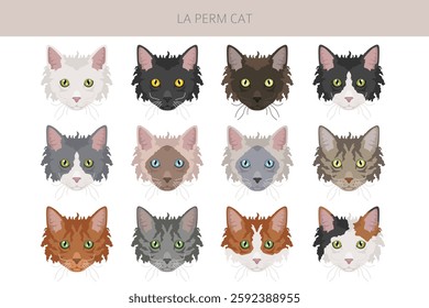 La Perm Cat clipart. All coat colors set.  All cat breeds characteristics infographic. Vector illustration