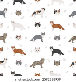 La Perm Cat clipart. All coat colors set.  All cat breeds characteristics infographic. Vector illustration