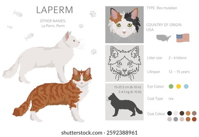 La Perm Cat clipart. All coat colors set.  All cat breeds characteristics infographic. Vector illustration