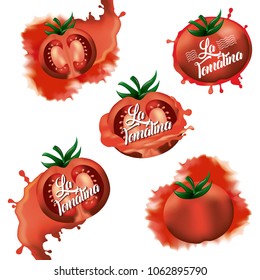 La Tomatina Festival