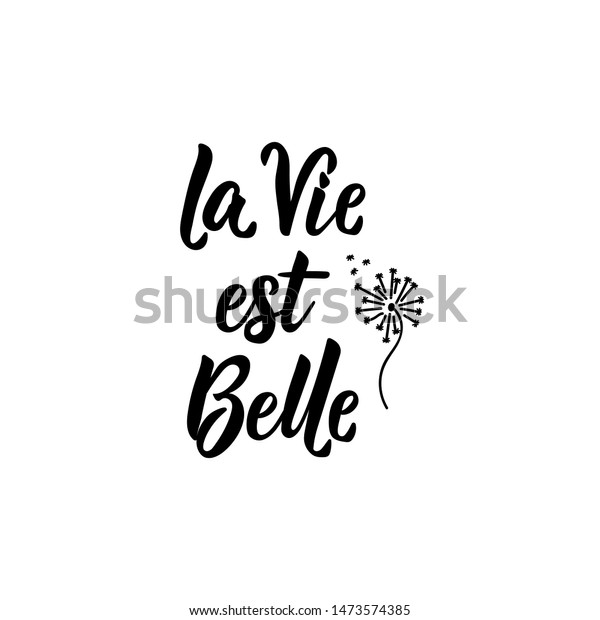 La Vie Est Belle Translation French Stock Vector Royalty Free