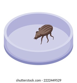 Lab bug icon isometric vector. Chemical control. Pesticide insect