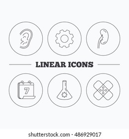 Lab bulb, medical plaster and ear icons.
