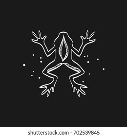 Lab frog icon in doodle sketch lines. School experiment biology lesson study